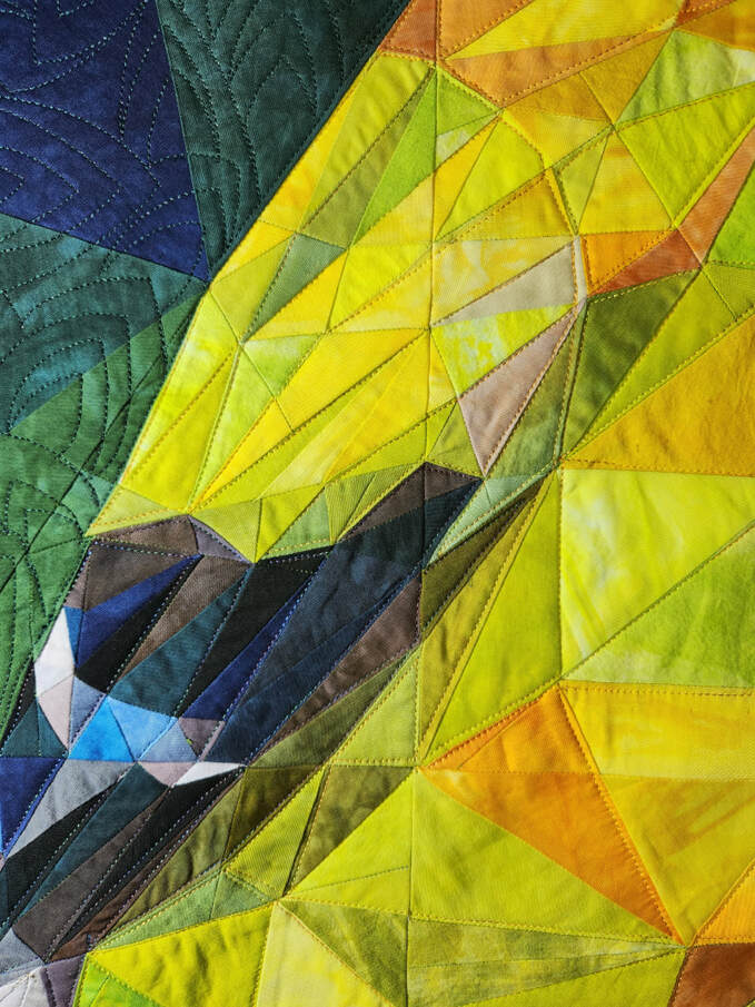 vicki welsh hand dyed fabric